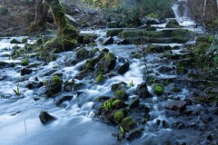 AlanKlughammer.com_20170325-AKP_6355