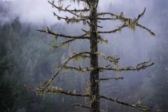 AlanKlughammer.com_20171118-AKP_8768