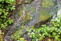 AlanKlughammer.com_20171118-AKP_8776