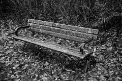 AlanKlughammer.com_AlanKlughammer.com_20171216-_AKP9479