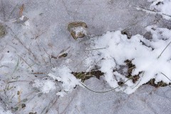 AlanKlughammer.com_AlanKlughammer.com_20171223-_AKP9839