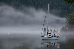 AlanKlughammer.com_20180114-_AKP9953