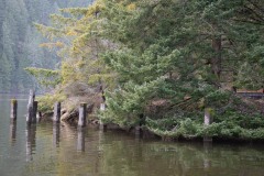 AlanKlughammer.com_20180114-_AKP9960