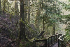 AlanKlughammer.com_20180114-f14179150