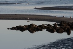 AlanKlughammer.com_20180210-_AKP0282