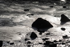 AlanKlughammer.com_20180210-_AKP0299