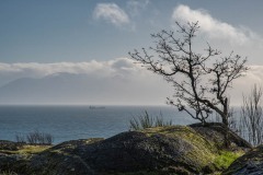 AlanKlughammer.com_20180217-_AK50422