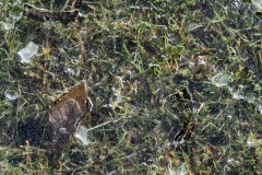 AlanKlughammer.com_20180219-_AK50460