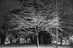 AlanKlughammer.com_20180221-_AK50508