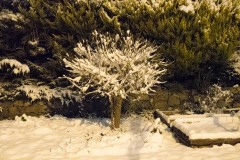 AlanKlughammer.com_20180221-_AK50532