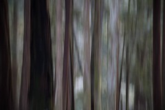 AlanKlughammer.com_20180224-AK5_0630