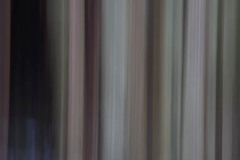 AlanKlughammer.com_20180224-AK5_0633