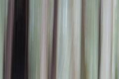 AlanKlughammer.com_20180224-AK5_0636