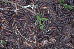 AlanKlughammer.com_20180224-AK5_0644