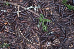 AlanKlughammer.com_20180224-AK5_0645