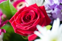 AlanKlughammer.com_20180331-_6100281