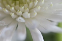 AlanKlughammer.com_20180331-_AK51458
