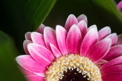 AlanKlughammer.com_20180331-_AK51514
