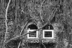 AlanKlughammer.com_20180407-AK5_1861