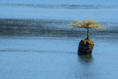 AlanKlughammer.com_20180512-_AK52321