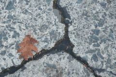 AlanKlughammer.com_20181013-_AK55232