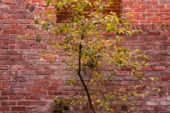 AlanKlughammer.com_20181013-_AK55401