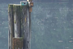 AlanKlughammer.com_20181027-_AK55913