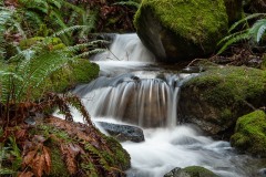 AlanKlughammer.com_20181224-_AK56334