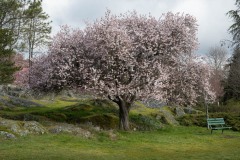 AlanKlughammer.com_AlanKlughammer.com_20180318-_AK51163