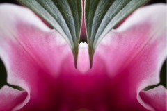 AlanKlughammer.com_AlanKlughammer.com_20180331-_AK51495