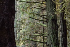 AlanKlughammer.com_AlanKlughammer.com_20181202-_6100960