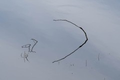AlanKlughammer.com_20190402-20190402-_AK57648-2