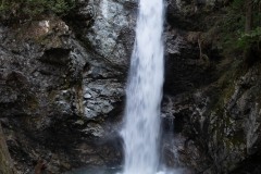 AlanKlughammer.com_20190402-_AK57579