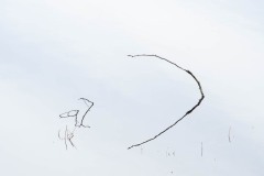 AlanKlughammer.com_20190402-_AK57653