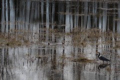 AlanKlughammer.com_20190402-_AK57698