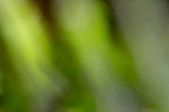 AlanKlughammer.com_20190420-_AK57780