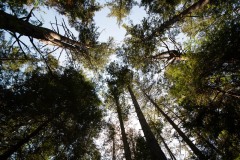 AlanKlughammer.com_20190420-_AK57835