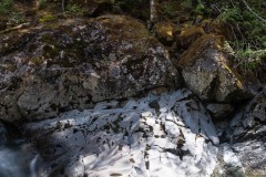 AlanKlughammer.com_20190504-20190504-_AK57952-2