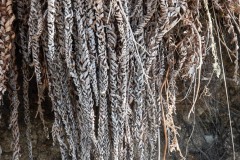 AlanKlughammer.com_20190504-_AK57935