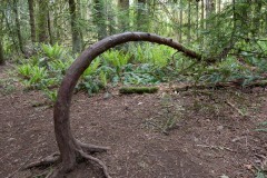 AlanKlughammer.com_20190512-_AK57966