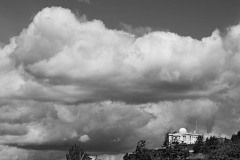 AlanKlughammer.com_20190608-AlanKlughammer.com_20190608-_AK58367