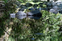 AlanKlughammer.com_20190630-20190630-_AK58645-2