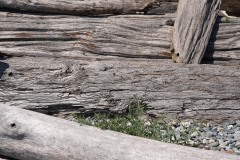 AlanKlughammer.com_20190804-20190804-_AK50061-2