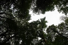 AlanKlughammer.com_20190921-20190921-_AK50460