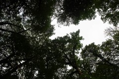 AlanKlughammer.com_20190921-_AK50460