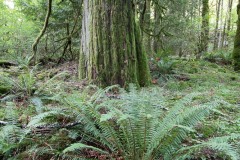 AlanKlughammer.com_20190921-_AK50479