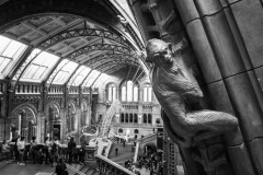 In the museum of Natural History in London