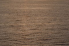 AlanKlughammer.com_20191027-_AK51623