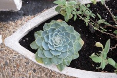 AlanKlughammer.com__AK51823