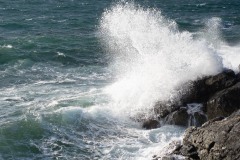 AlanKlughammer.com_20200105-_6101728